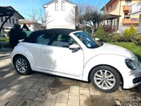 usata VW Maggiolino Maggiolino Cabrio 1.6 TDI Design