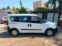 Usata Fiat Doblò Easy 120 CV (88 kW) 2015 Bianco Monovolume