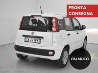 Usata Fiat Panda Easy 69 CV (50 kW) 2020 Utilitaria