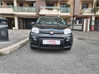 Usata Fiat Panda City Life 70 CV (51 kW) 2023 Nero Utilitaria