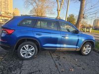 Usata Skoda Kodiaq Executive 150 CV (110 kW) 2020 SUV