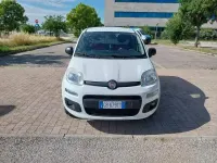 Usata Fiat Panda 4x4 Pop 85 CV (62 kW) 2020 Bianco Utilitaria
