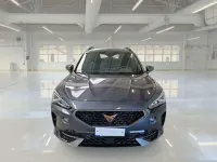 Usata Cupra Formentor 150 CV (110 kW) 2022 Grigio SUV