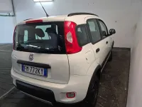 Usata Fiat Panda 4x4 S 95 CV (69 kW) 2017 Bianco Utilitaria