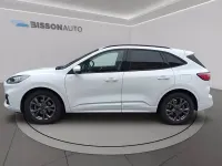 Usata Ford Kuga ST-Line 120 CV (88 kW) 2024 Bianco frozen SUV