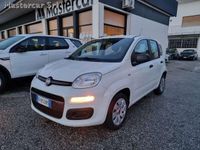 usata Fiat Panda Panda1.2 POP NEOPATENTATI FR814NY