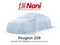 usata Peugeot 208 BlueHDi 100 Stop&Start 5 porte Active Pack my 20 del 2022 usata a Massa