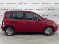 Nuova Fiat Panda 69 CV (50 kW) 2025 Rosso Utilitaria