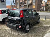 usata Fiat Panda 1.0 Hybrid