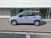 Usata Fiat Panda Easy 69 CV (50 kW) 2020 Grigio Utilitaria