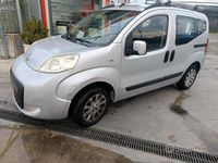 Usata Fiat Qubo Trekking 77 CV (56 kW) 2014 Grigio Monovolume