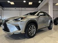 Usata Lexus NX300h Business Edition 155 CV (114 kW) 2019 Bronzo SUV