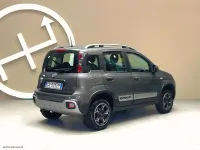 Usata Fiat Panda Cross Cross 86 CV (63 kW) 2021 Grigio Utilitaria