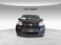 Usata Fiat Panda City Life 69 CV (50 kW) 2023 Nero Utilitaria