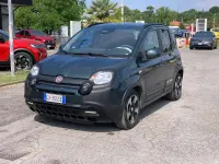 Usata Fiat Panda S 69 CV (50 kW) 2025 Verde Utilitaria