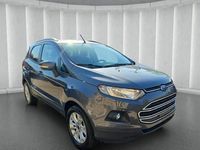 Usata Ford Ecosport Titanium 125 CV (91 kW) 2017 Grigio SUV