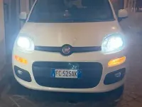 Usata Fiat Panda 85 CV (62 kW) 2016 Bianco Utilitaria