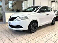 usata Lancia Ypsilon 1.2 69 CV 5 porte GPL Ecochic Elefantino Blu