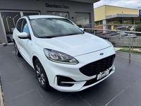 Usata Ford Kuga ST-Line X 120 CV (88 kW) 2021 Bianco SUV