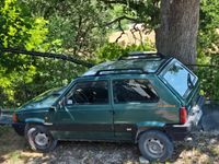 Usata Fiat Panda 4x4 45 CV (33 kW) 2000 Verde Utilitaria