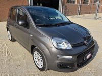 Usata Fiat Panda S 71 CV (52 kW) 2021 Grigio Utilitaria