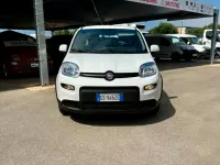 Usata Fiat Panda S 69 CV (50 kW) 2024 Bianco Utilitaria