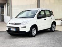 Usata Fiat Panda 71 CV (52 kW) 2024 Bianco Berlina