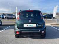 Usata Fiat Panda Cross Cross 69 CV (50 kW) 2025 Verde Utilitaria