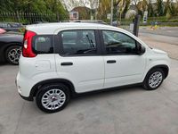 Begagnad Fiat Panda City Life 69 HK (50 kW) 2023 Vit Halvkombi
