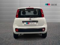 Usata Fiat Panda Easy 69 CV (50 kW) 2020 Bianco Berlina