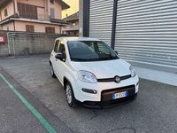 Usata Fiat Panda City Life 69 CV (50 kW) 2023 Bianco Utilitaria