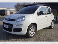 Usata Fiat Panda Easy 69 CV (50 kW) 2018 Bianco Berlina