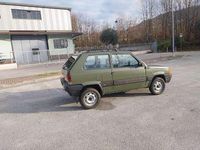 Usata Fiat Panda 4x4 Trekking 54 CV (39 kW) 2004 Verde Utilitaria