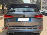 Usata Cupra Ateca 300 CV (220 kW) 2024 Grigio SUV