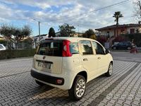 Usata Fiat Panda Easy 71 CV (52 kW) 2020 Bianco Utilitaria