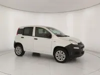 Usata Fiat Panda Pop 70 CV (51 kW) 2019 Bianco Utilitaria