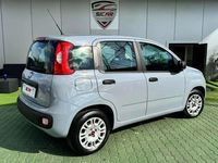 usata Fiat Panda 1.2 Business