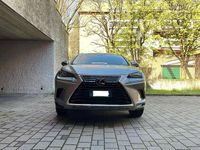 Usata Lexus NX300h Executive Line 197 CV (144 kW) 2018 Grigio SUV