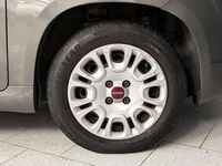 Usata Fiat Panda 70 CV (51 kW) 2022 Gray Utilitaria