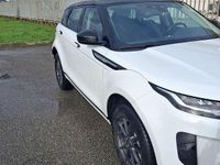 Usata Land Rover Range Rover evoque 150 CV (110 kW) 2019 Bianco SUV