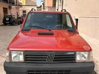 Usata Fiat Panda 4x4 Trekking 54 CV (39 kW) 2000 Rosso Utilitaria