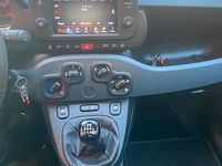 Usata Fiat Panda Cross Cross 69 CV (50 kW) 2024 Verde Utilitaria