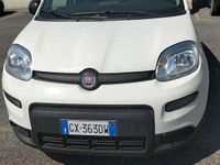 Usata Fiat Panda S 69 CV (50 kW) 2024 Bianco Utilitaria