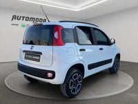 Usata Fiat Panda 4x4 84 CV (61 kW) 2023 Antracite Utilitaria