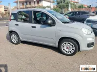 Usata Fiat Panda S 69 CV (50 kW) 2022 Grigio Utilitaria
