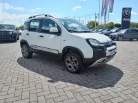Usata Fiat Panda 4x4 S 84 CV (61 kW) 2020 Bianco Utilitaria