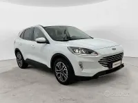 Usata Ford Kuga ST-Line X 225 CV (165 kW) 2020 Bianco SUV