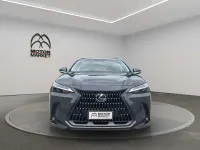 Usata Lexus NX200t Business Edition 243 CV (178 kW) 2023 Grigio / gray SUV
