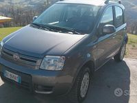 Usata Fiat Panda 4x4 2013 Grigio Utilitaria