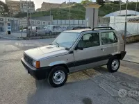 Usata Fiat Panda 4x4 Trekking 54 CV (39 kW) 2000 Grigio Utilitaria